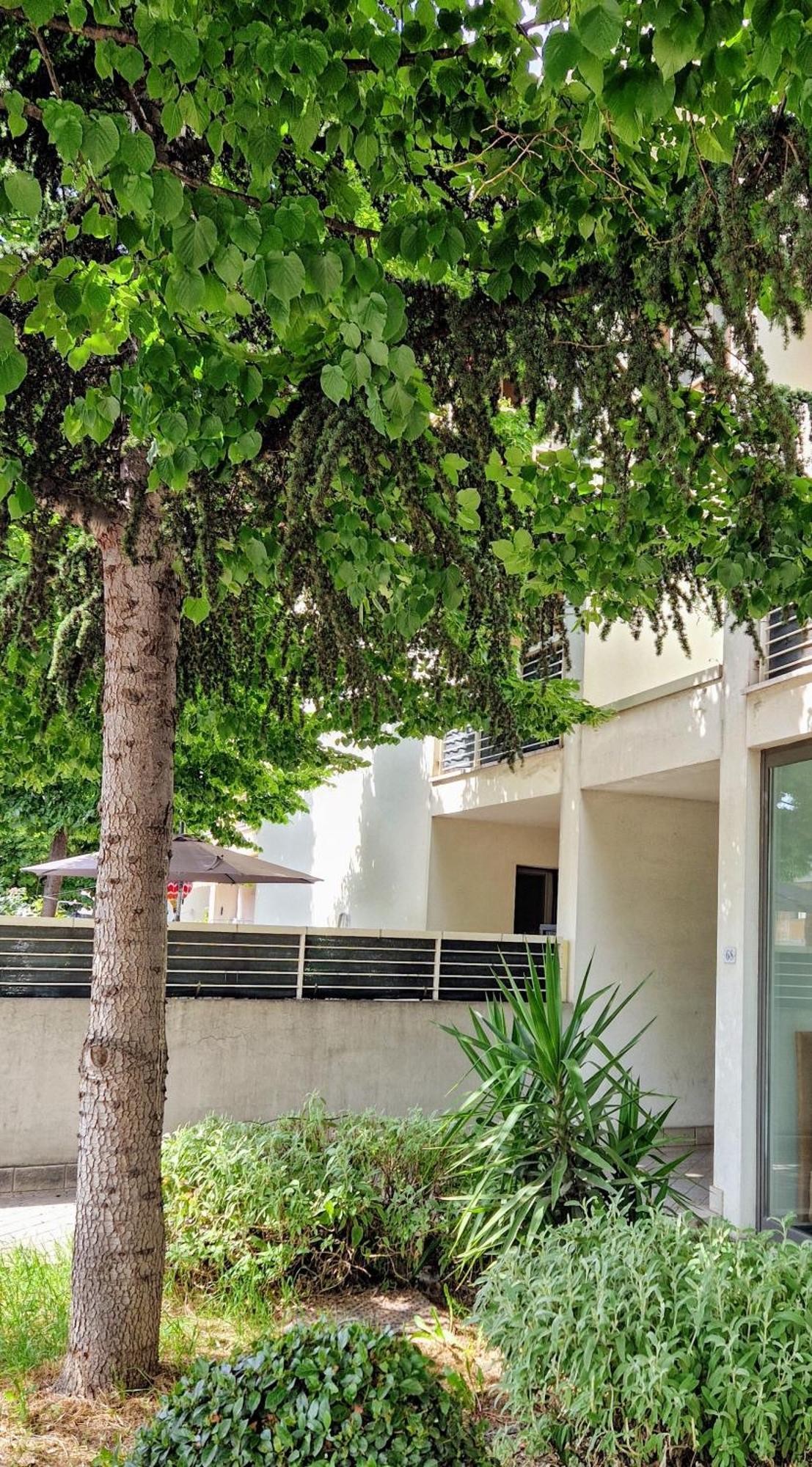 Ferienwohnung Dolcenido Meyer Firenze Exterior foto
